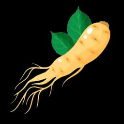 Ginseng
